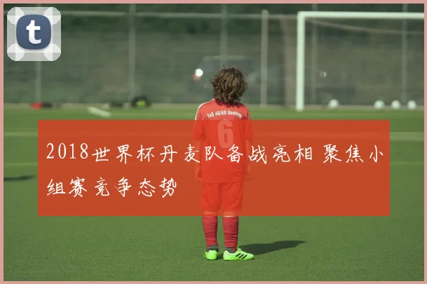 2018世界杯丹麦队备战亮相 聚焦小组赛竞争态势